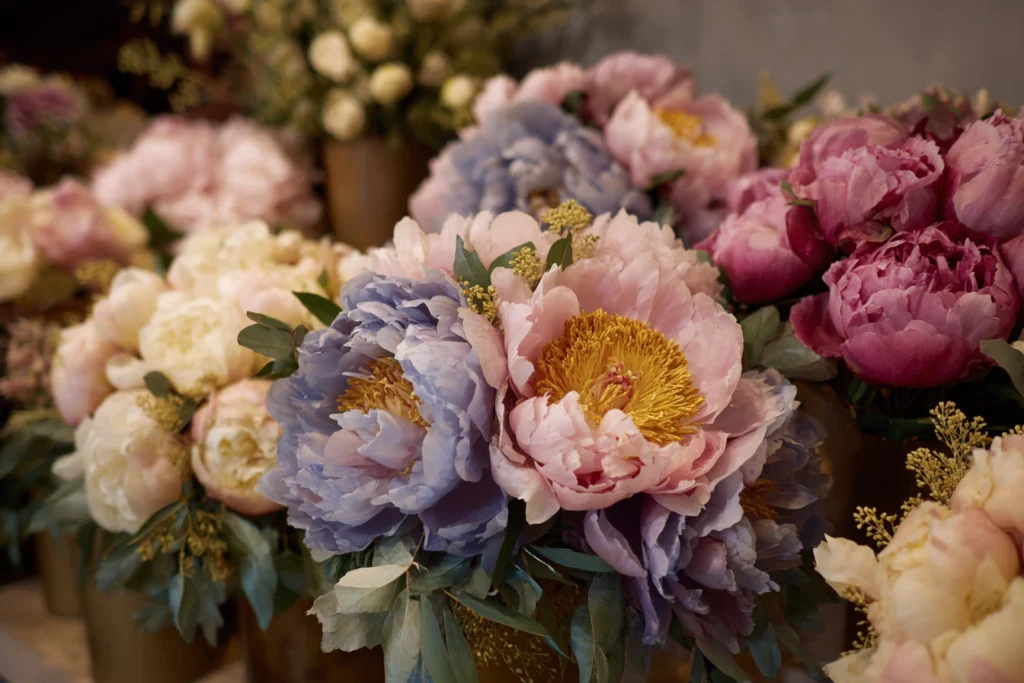 Flower arrangements with peonies
